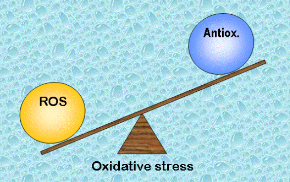 Desequilibrio en estrés oxidativo