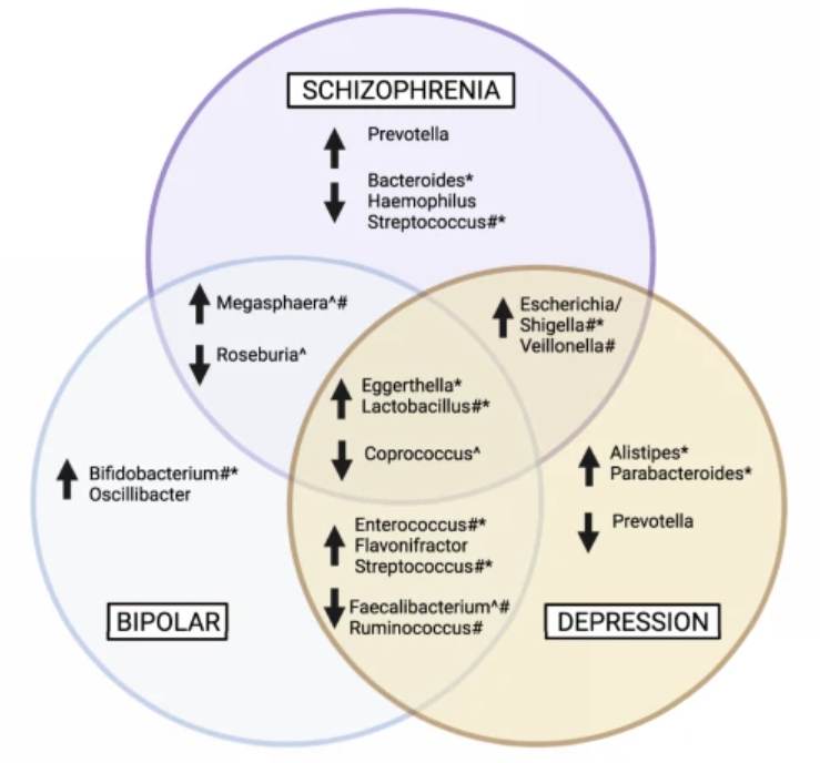 Microbiota y Salud Mental 2