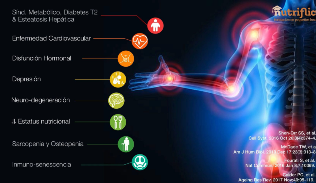 Etiología de la neuroinflamación