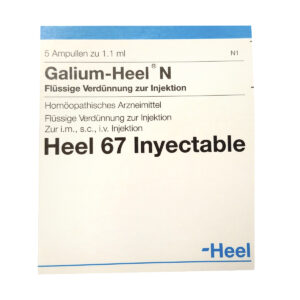 galium heel