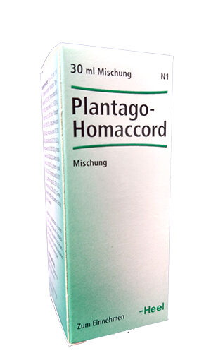 plantago homaccord