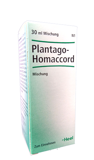 plantago homaccord