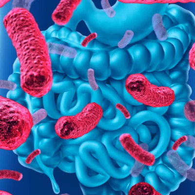 La Microbiota: El Segundo Cerebro