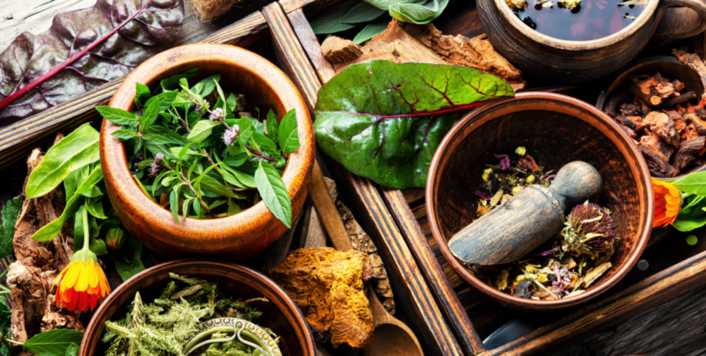 naturopatia
