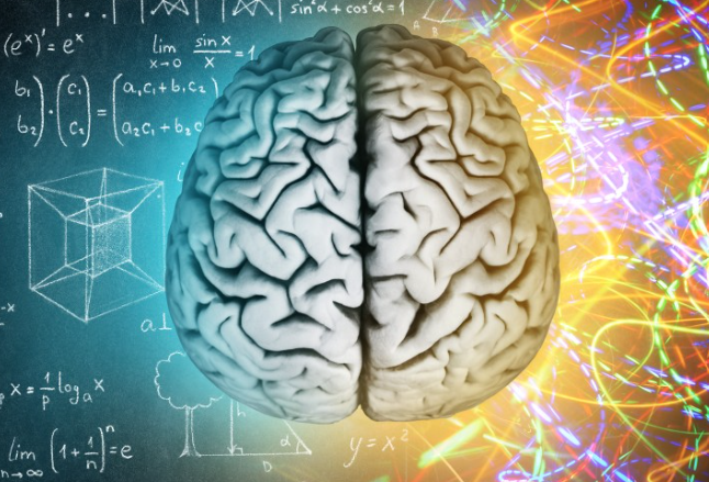 Neuroplasticidad 1