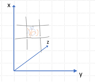 Ralentecimiento cuántico