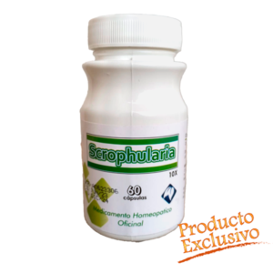 Scrophularia frasco x 60 capsulas
