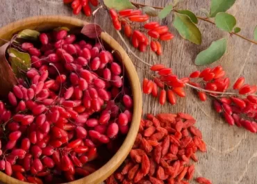 Berberine