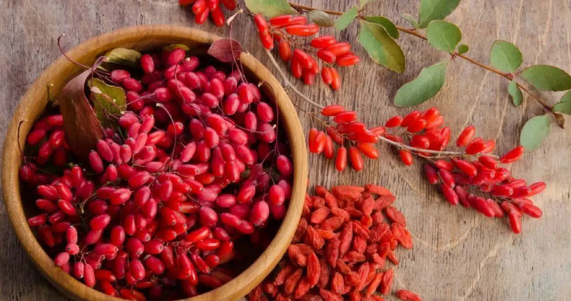 Berberine